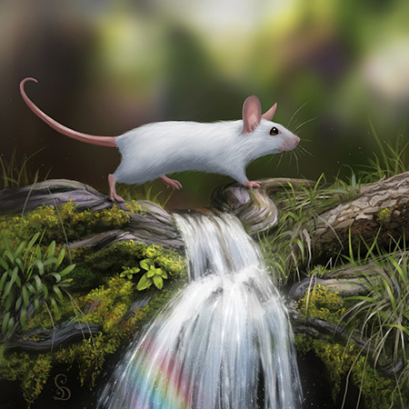 Waterfall Mouse (2023)
