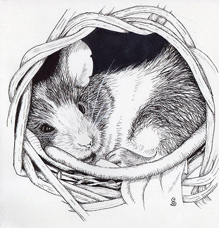 Mouse drawing in ink, 20 cm x 20 cm, (2020)